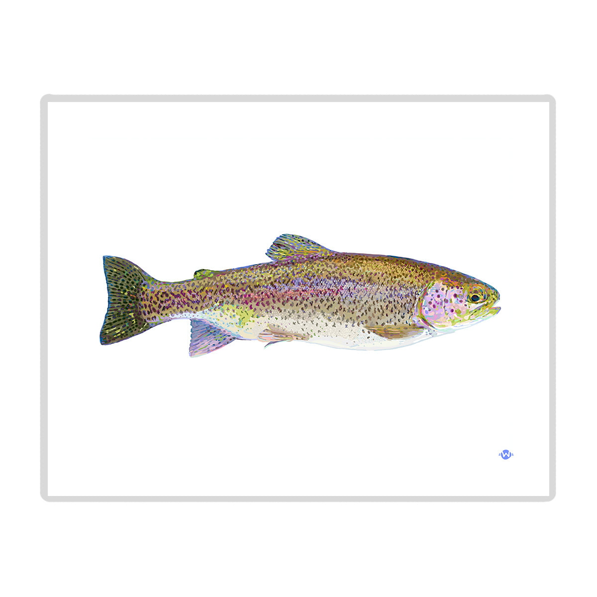 11x14 Rainbow Trout Print