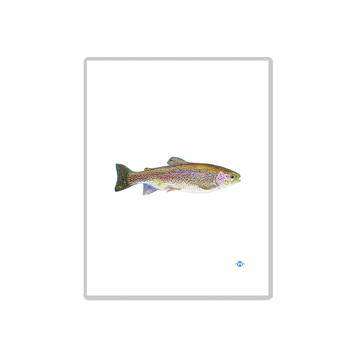 8.5x11 Rainbow Trout Print