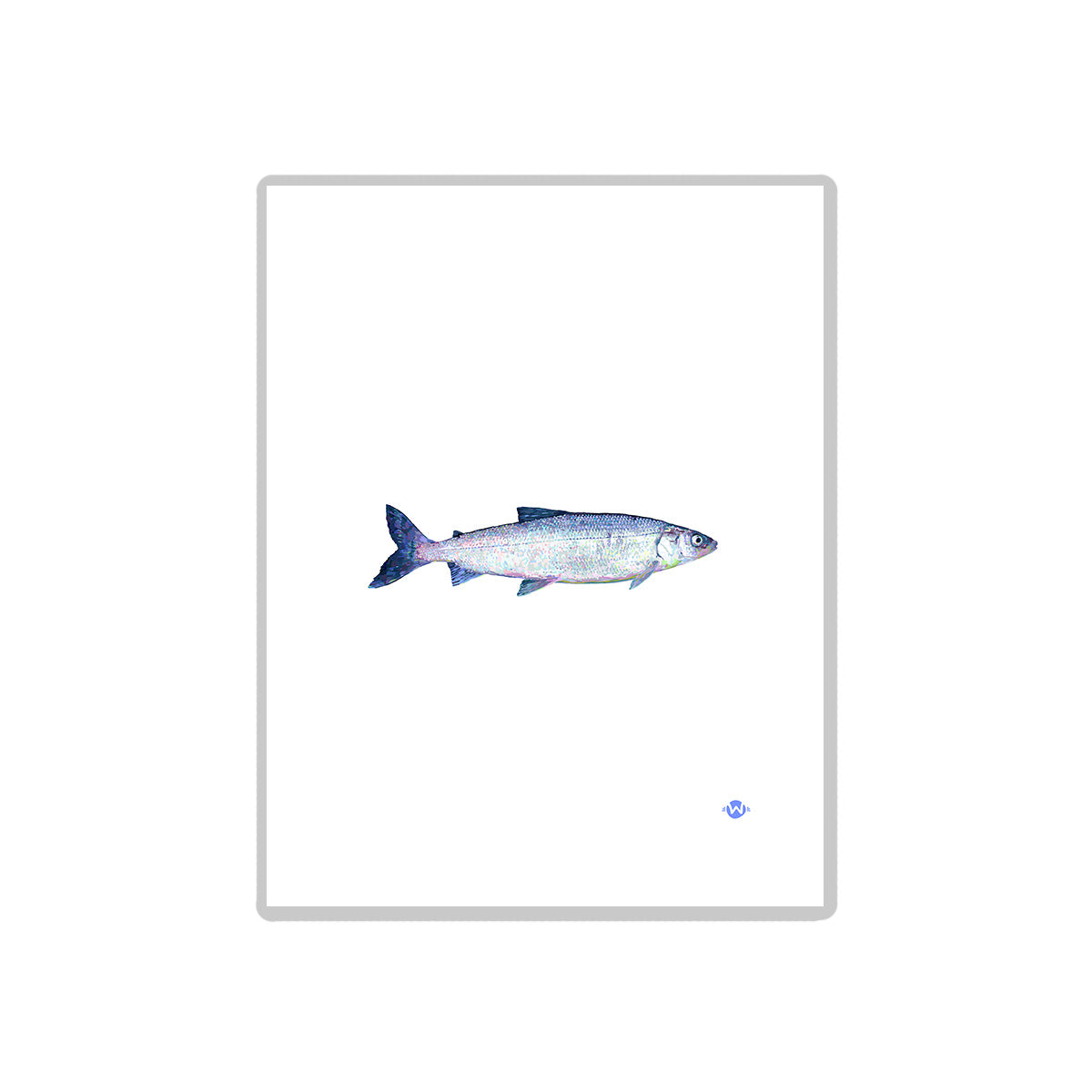 8.5x11 Whitefish Print