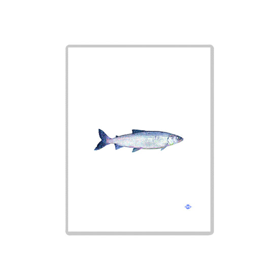 8.5x11 Whitefish Print