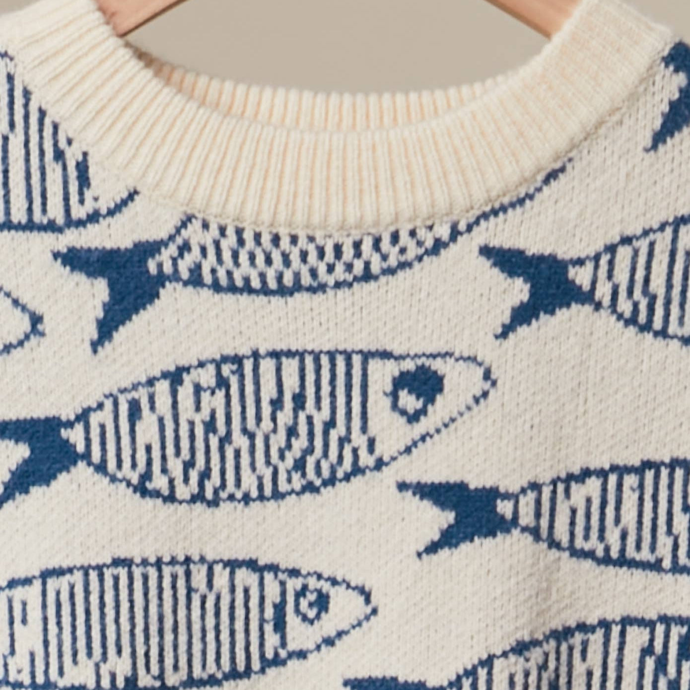 Sardine Story Knit Sweater