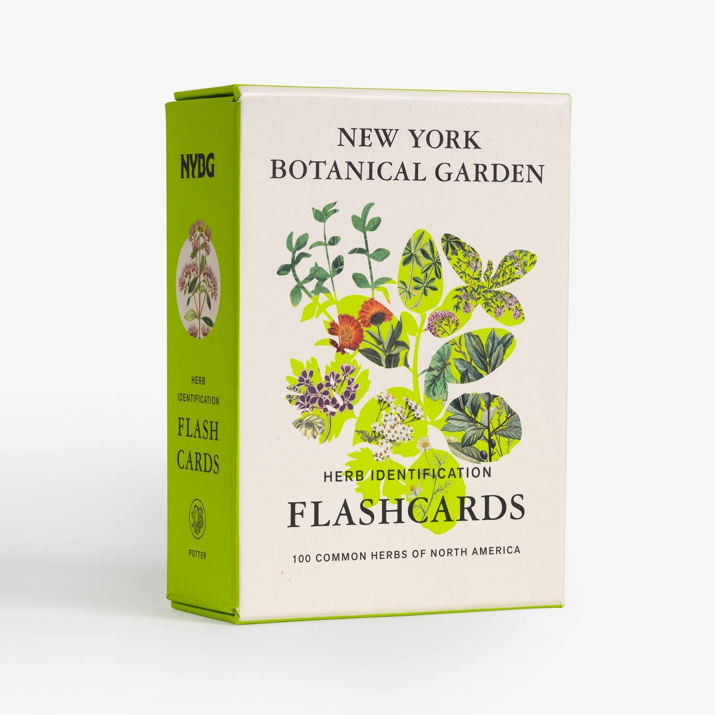 Herb ID Flashcards