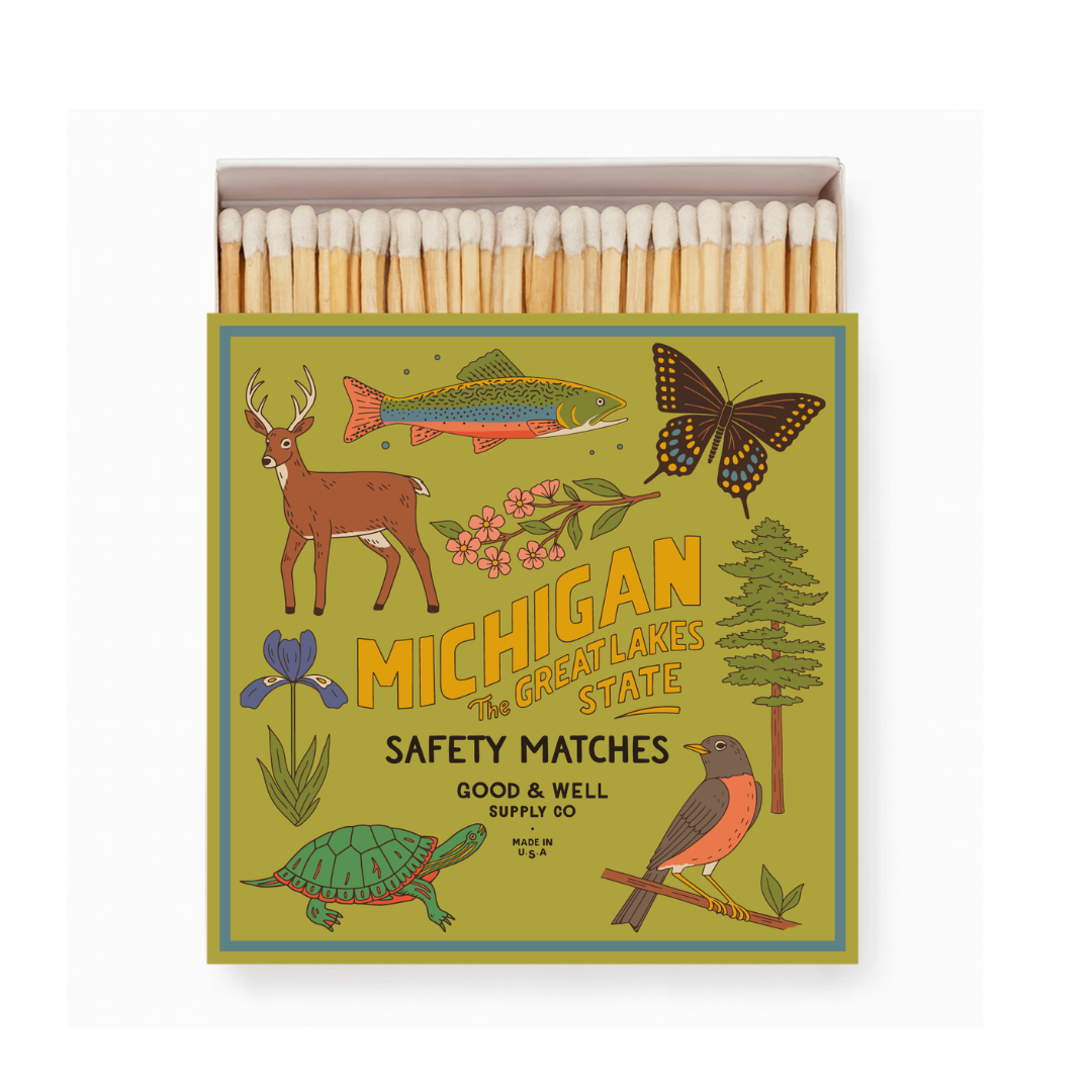 Michigan State Safety Matches