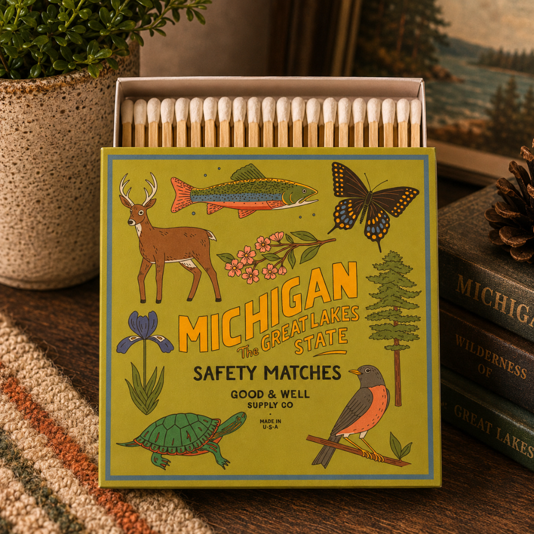 Michigan State Safety Matches