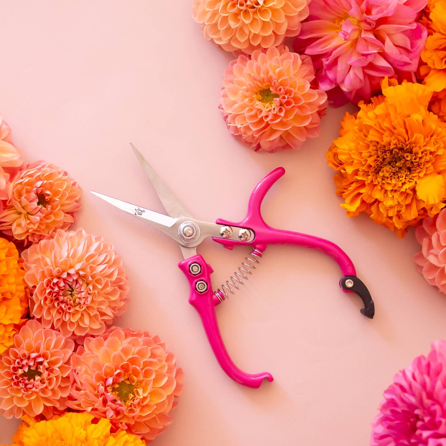 Hibiscus Pruning Shears