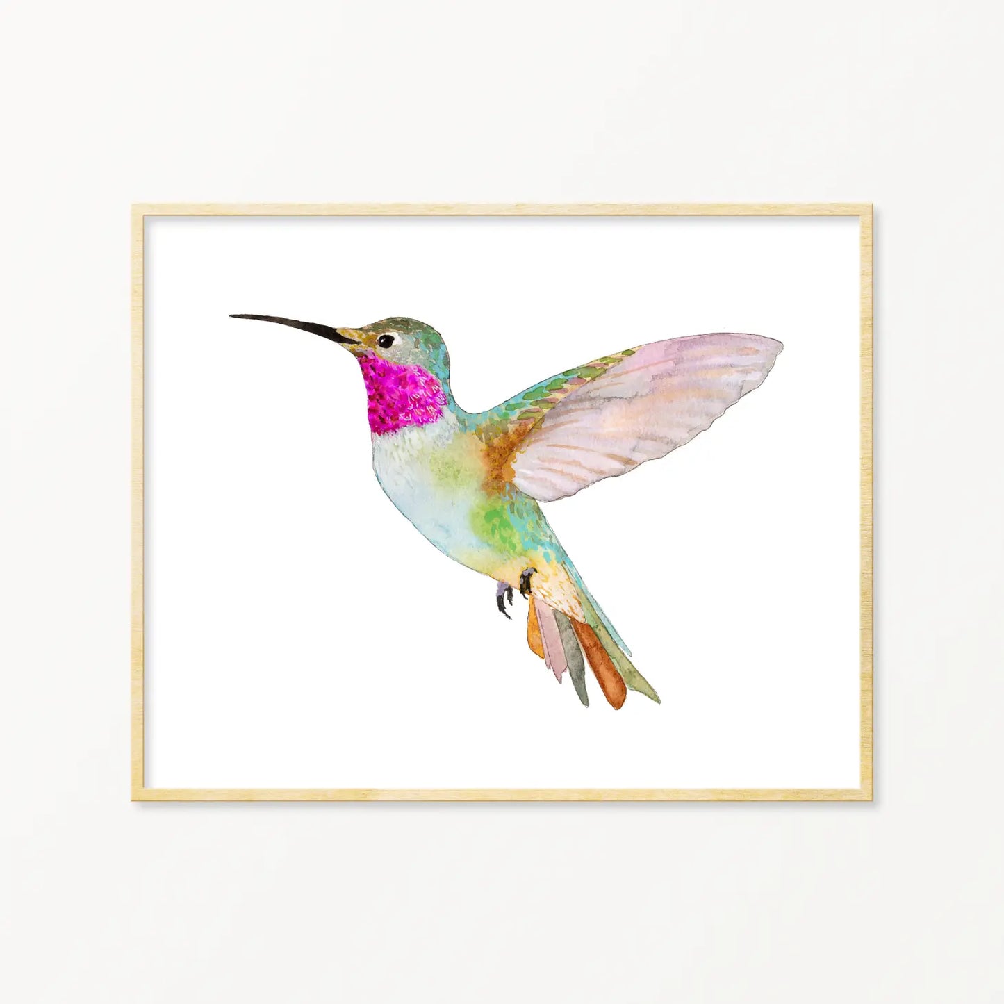 Load image into Gallery viewer, Broad-Tailed Hummingbird ~ Art Print
