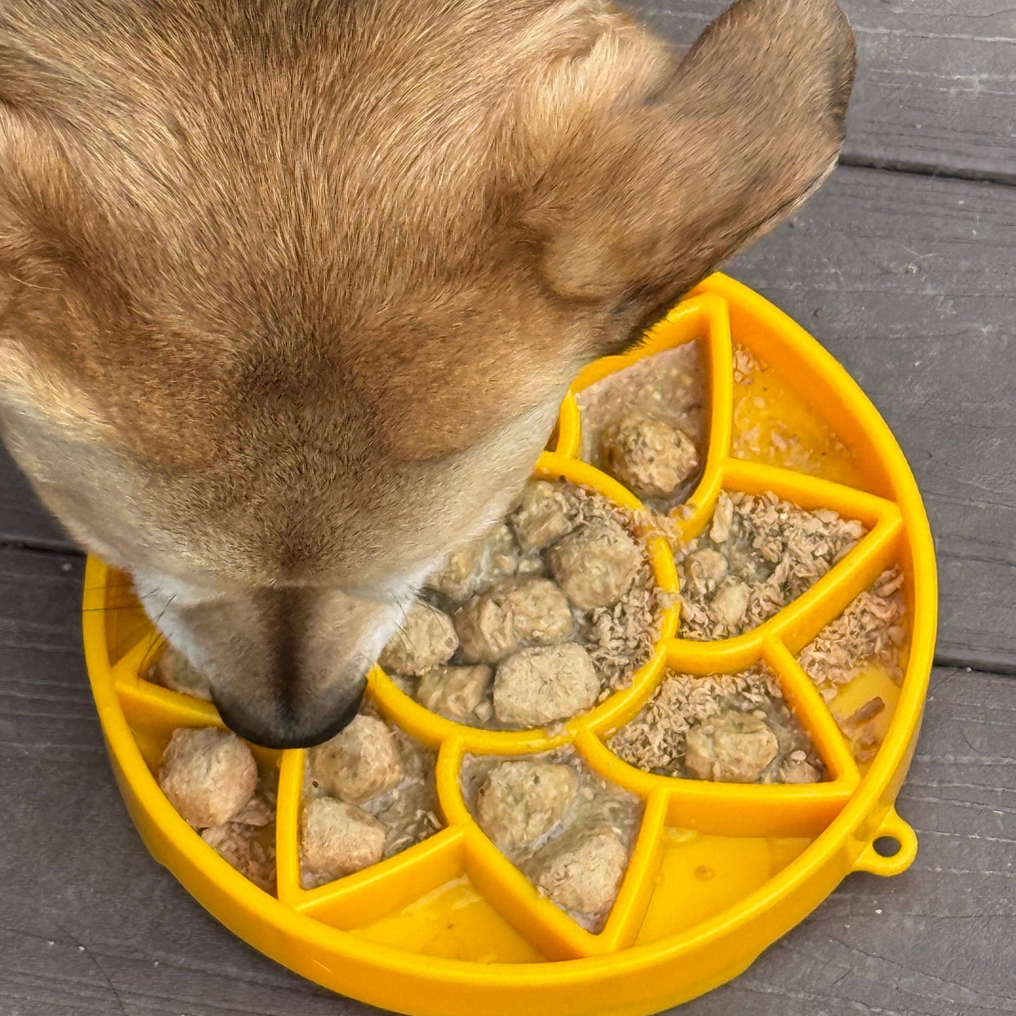 Sunflower Design Shallow Slow Feeder Tray