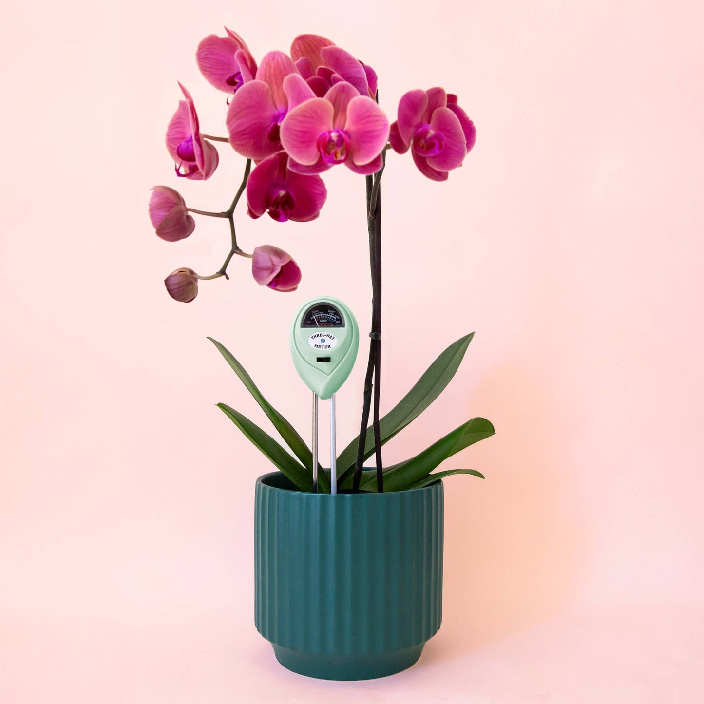 Lagoon 3-in-1 Moisture Meter
