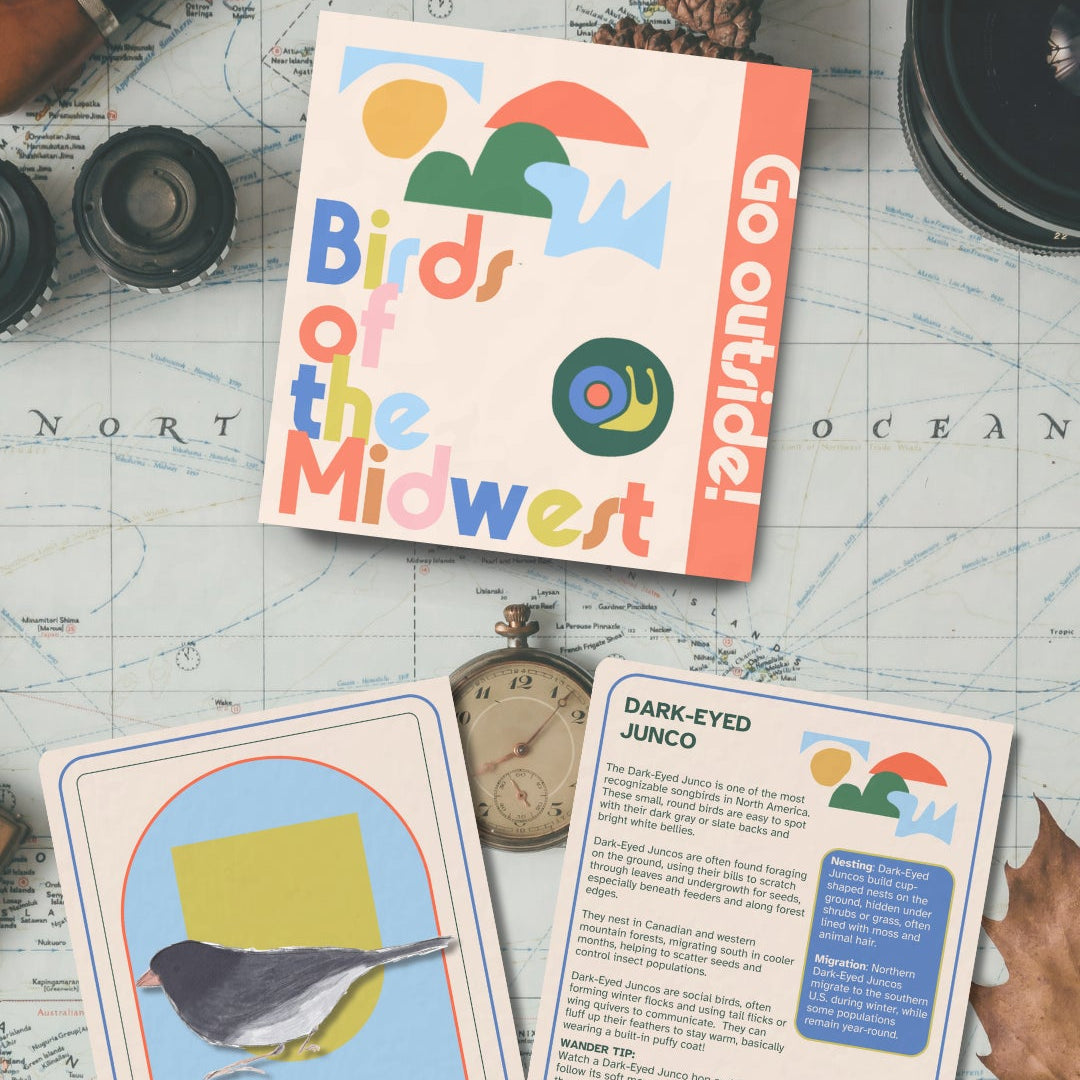 Birds of the Midwest