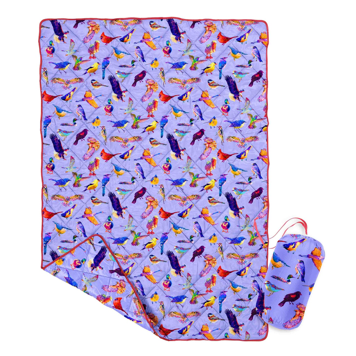 Fly Around Puffy Blanket