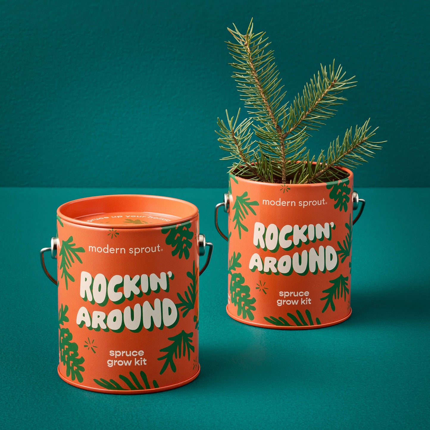 Holiday Grow Kits