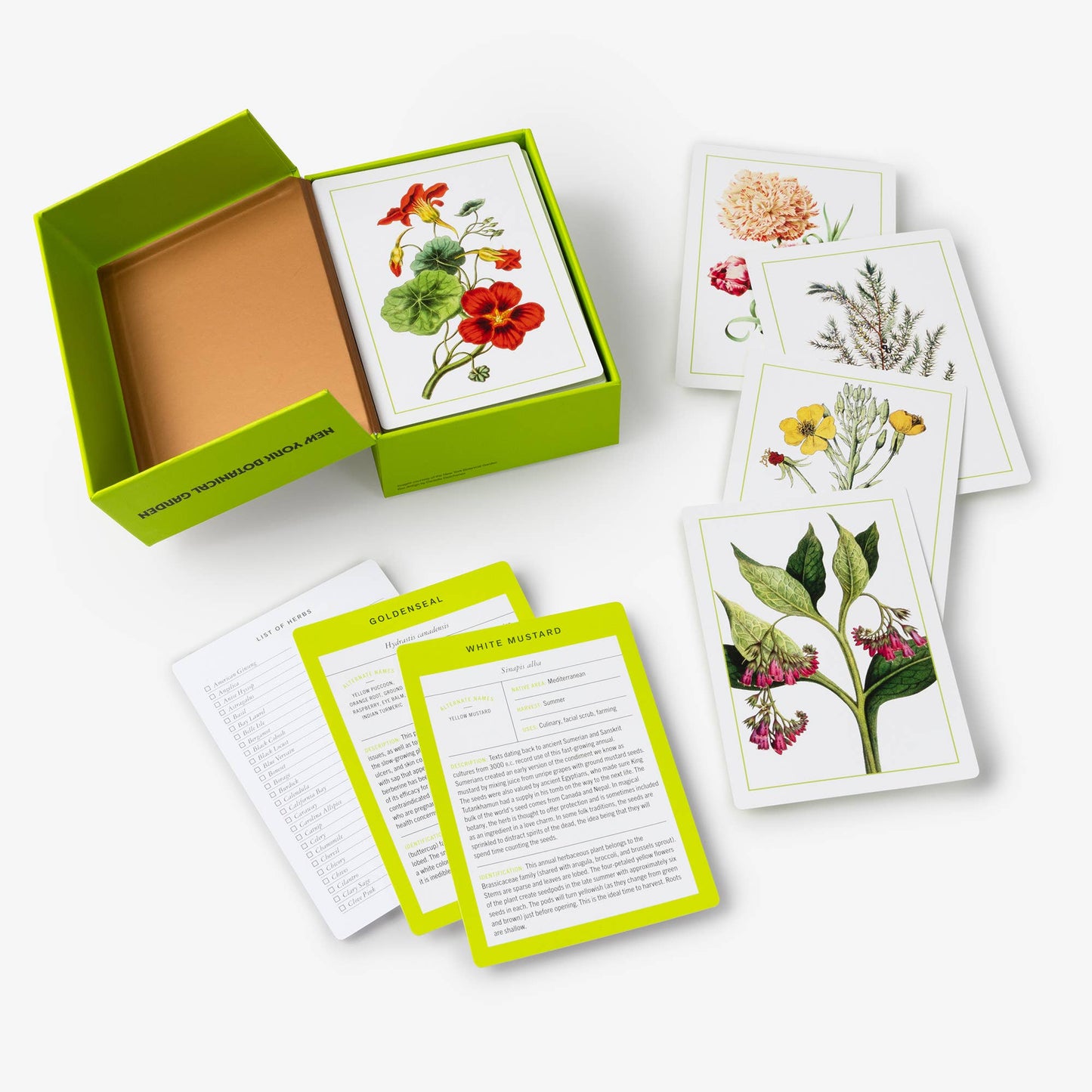 Herb ID Flashcards
