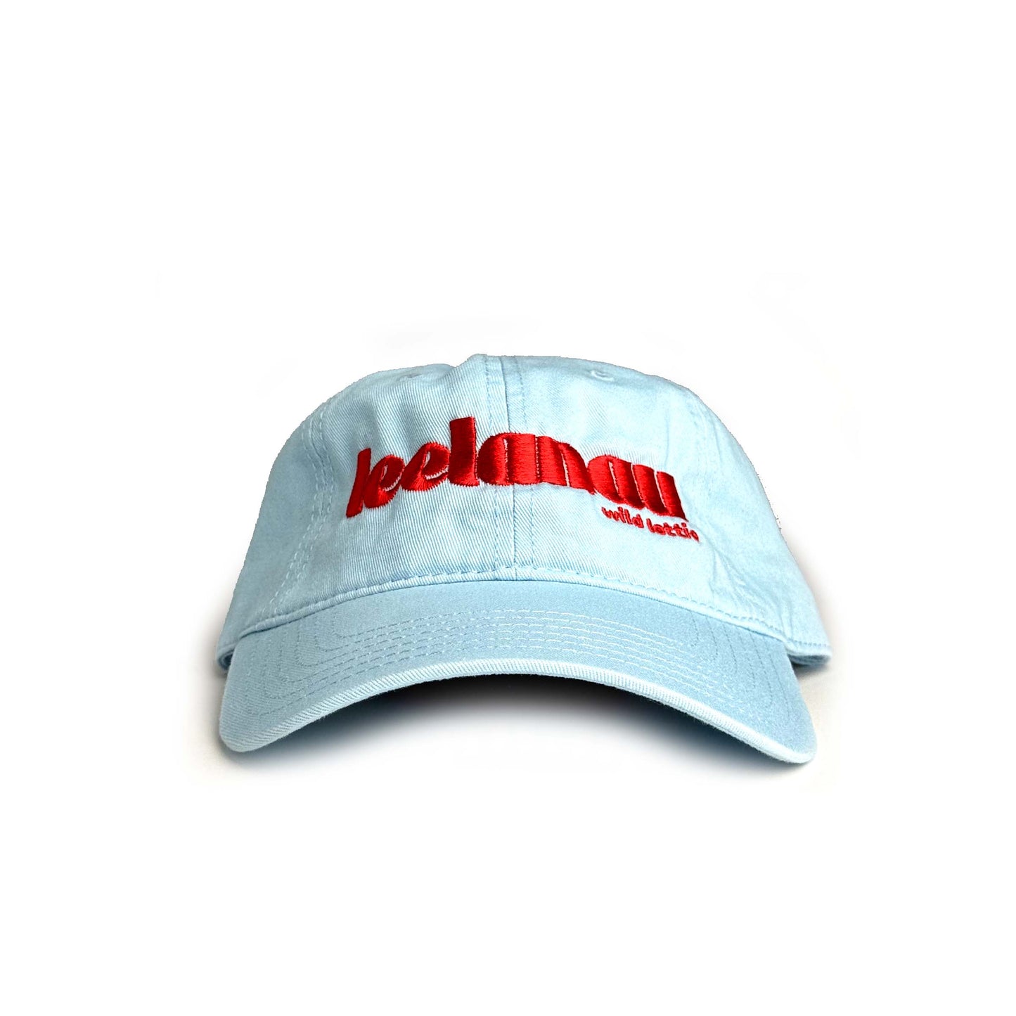 Leelanau Adventure Dad Hat