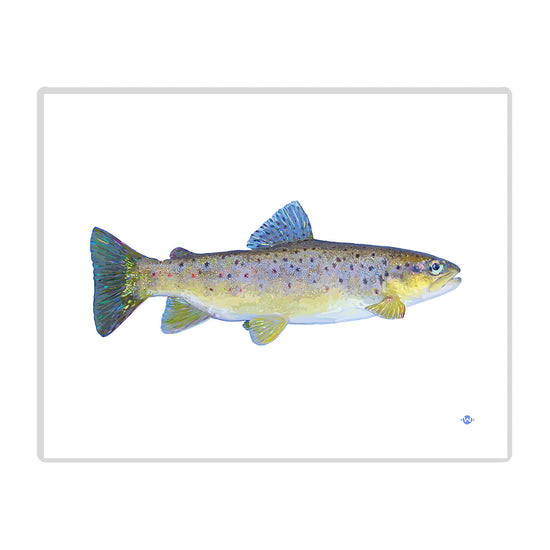 Load image into Gallery viewer, 11x14 Brown Trout Print
