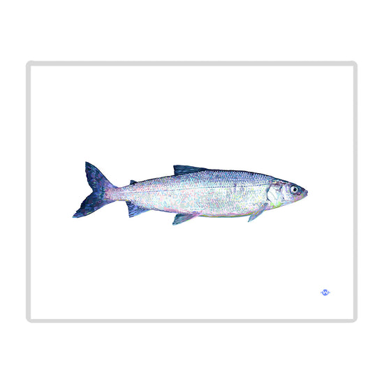 11x14 Whitefish Print