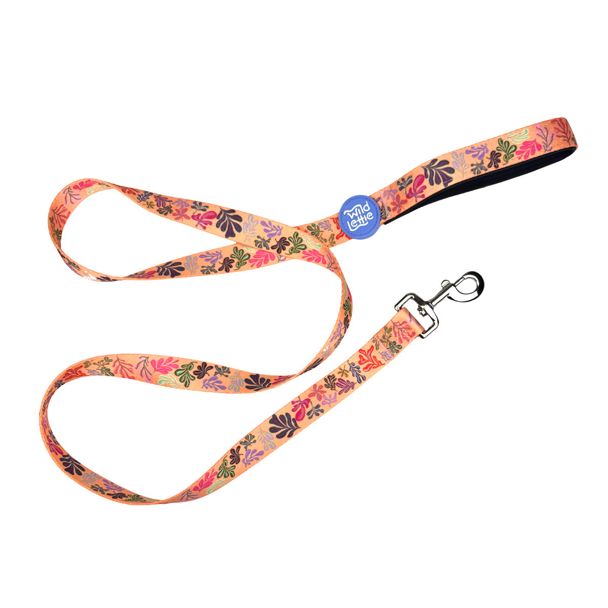 Fallfetti Leash