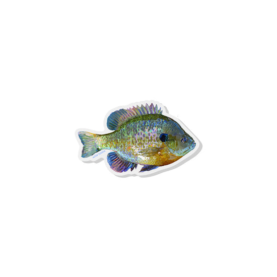 Load image into Gallery viewer, Bluegill Acrylic Pin
