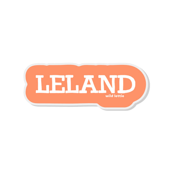 Leland Acrylic Pin