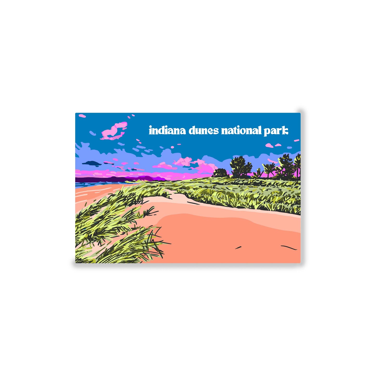 Indiana Dunes Postcard