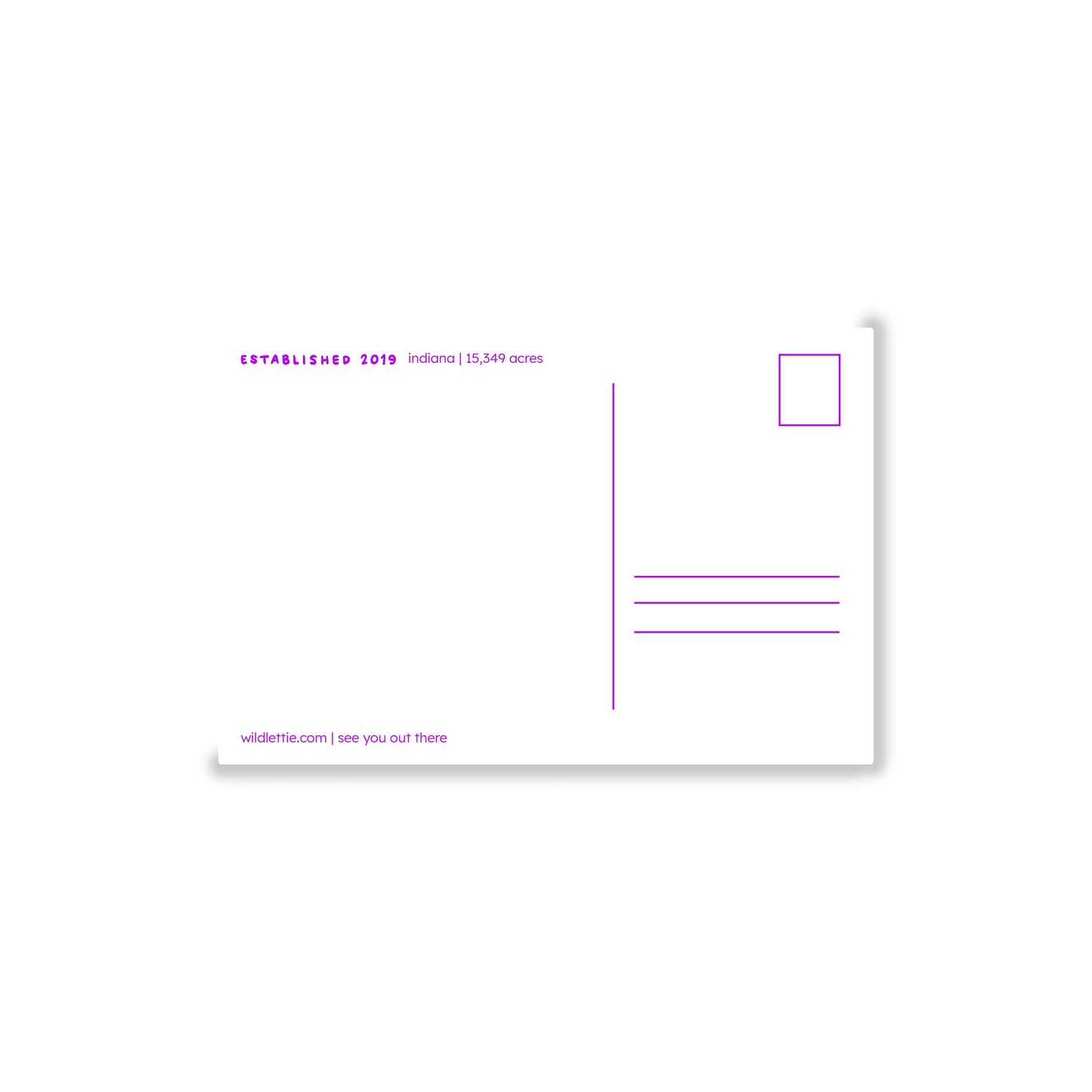 Indiana Dunes Postcard