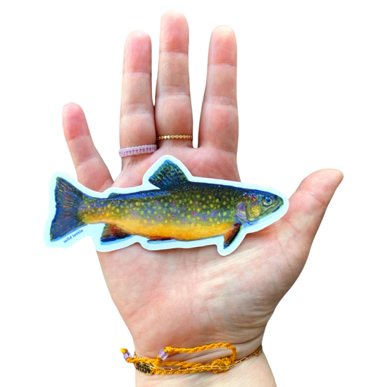 Brook Trout Sticker