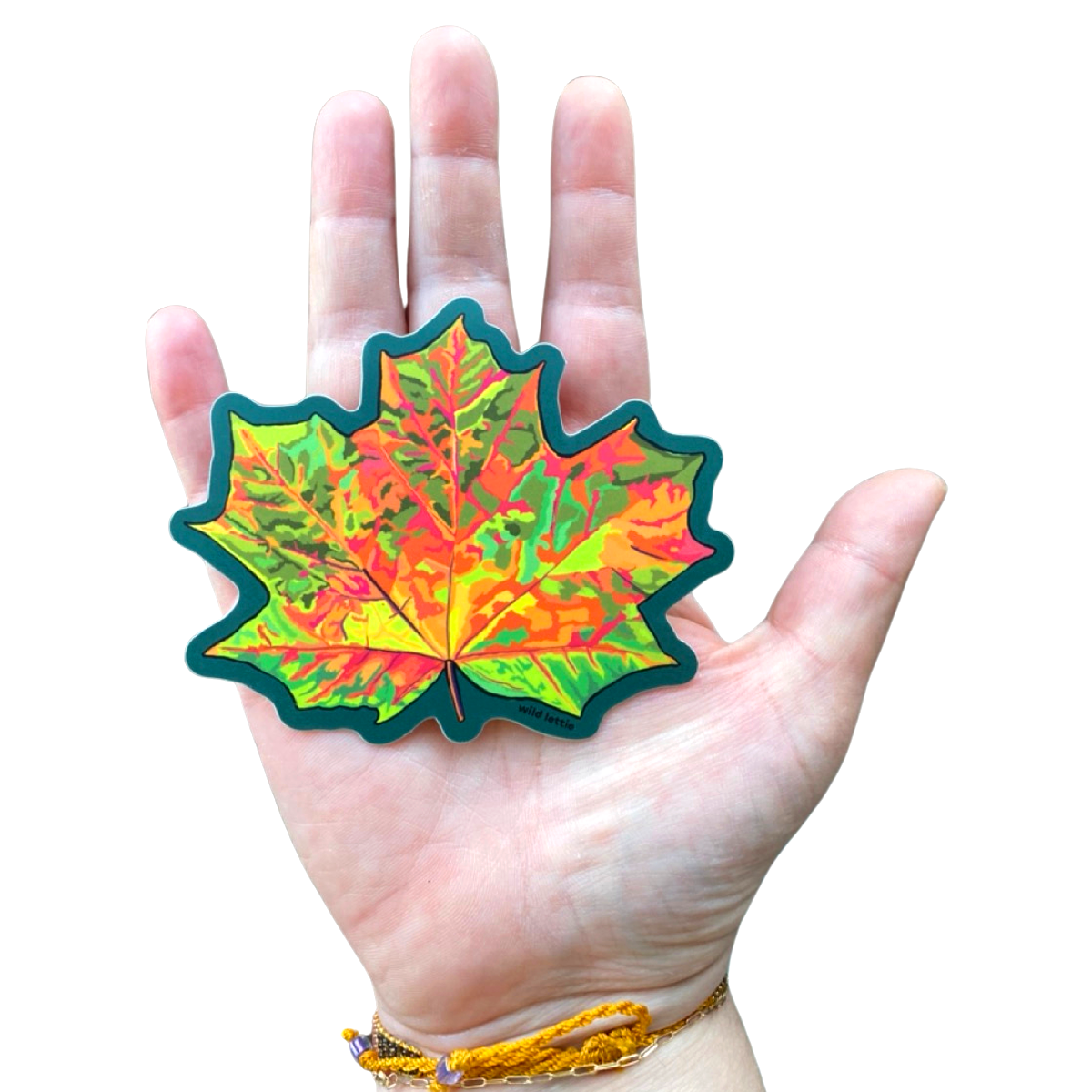 Maple Leaf Sticker - Fall Leaf Sticker | Compass Paper Co. – Wild Lettie