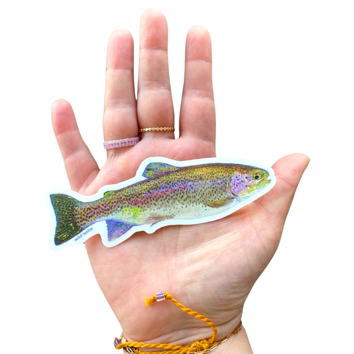 Rainbow Trout Sticker