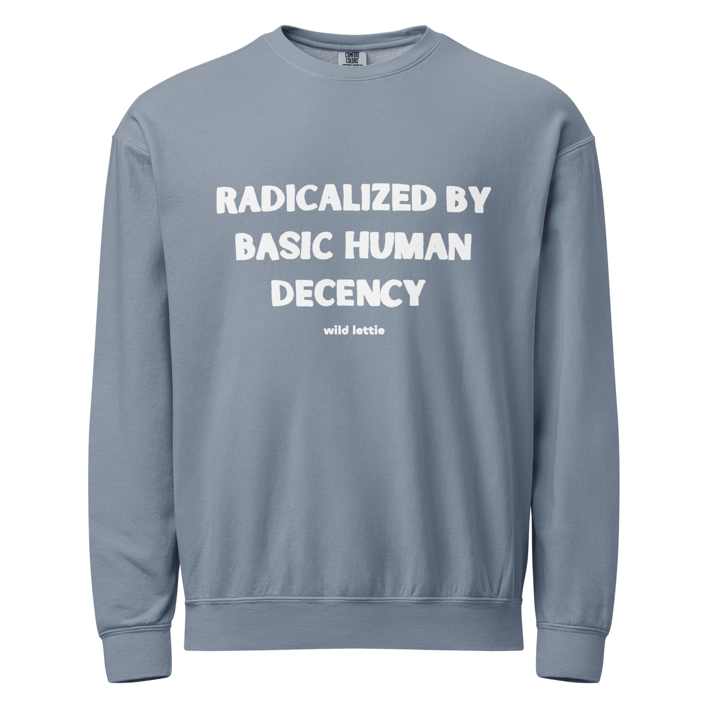 PREORDER Decency Unisex Crewneck