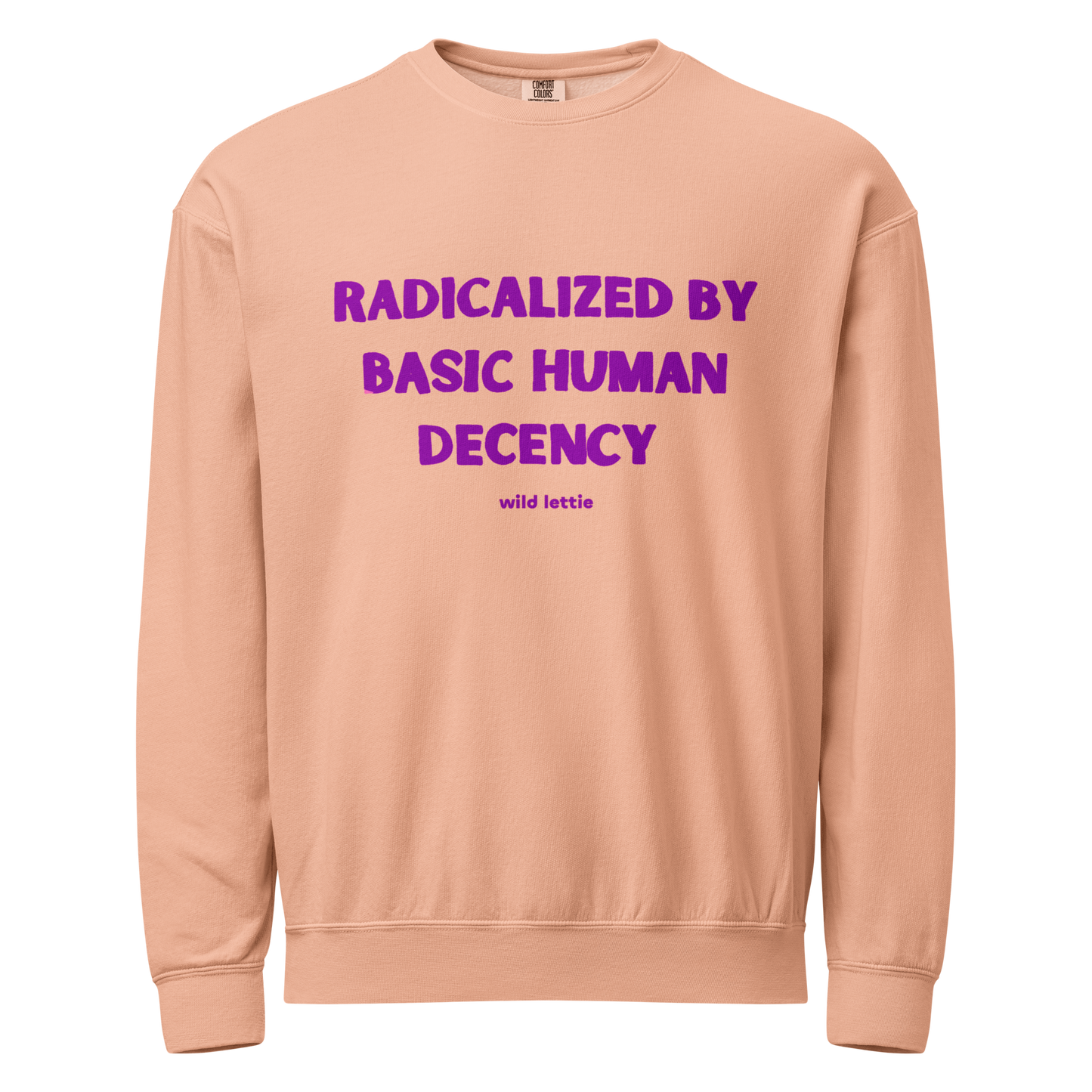 PREORDER Decency Unisex Crewneck