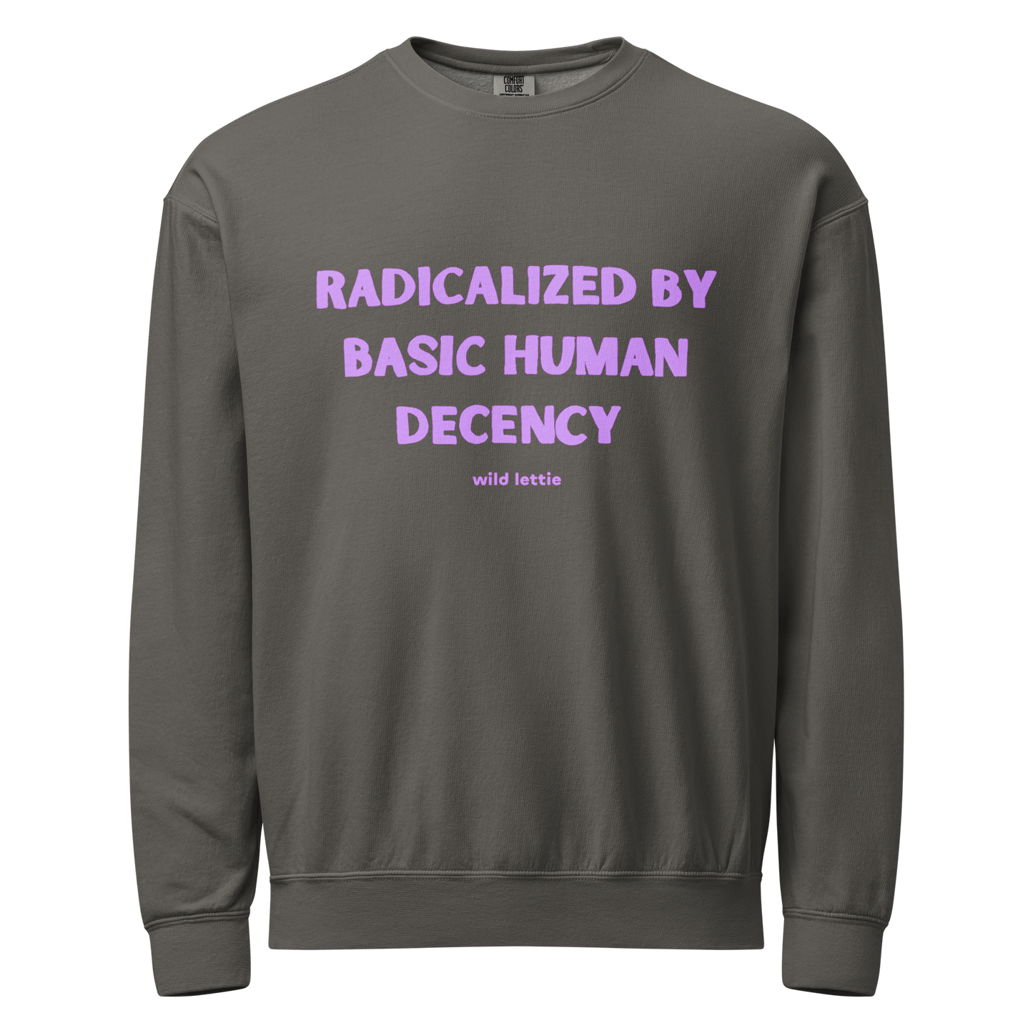 PREORDER Decency Unisex Crewneck