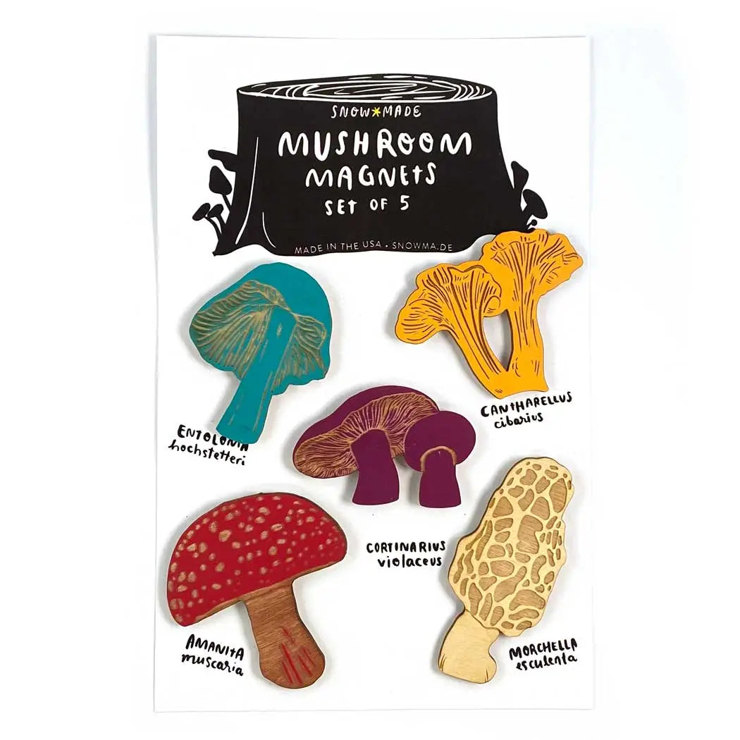 Mushroom Magnets - Set of 5 - Series 1