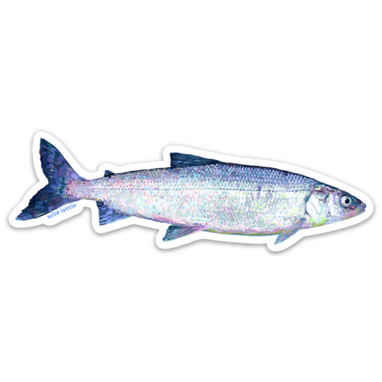 Whitefish Sticker